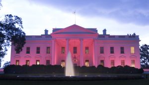 US-POLITICS-HEALTH-BREAST-CANCER