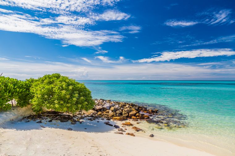 Maldives paradise beach. Perfect tropical island. Beautiful palm trees and tropical beach. Moody blue sky and blue lagoon. Luxury travel summer holiday background concept.