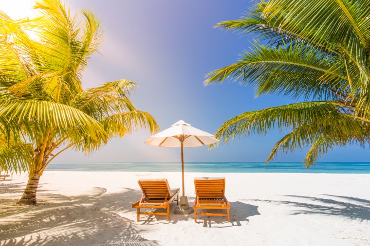 Maldives paradise beach. Perfect tropical island. Beautiful palm trees and tropical beach. Moody blue sky and blue lagoon. Luxury travel summer holiday background concept.