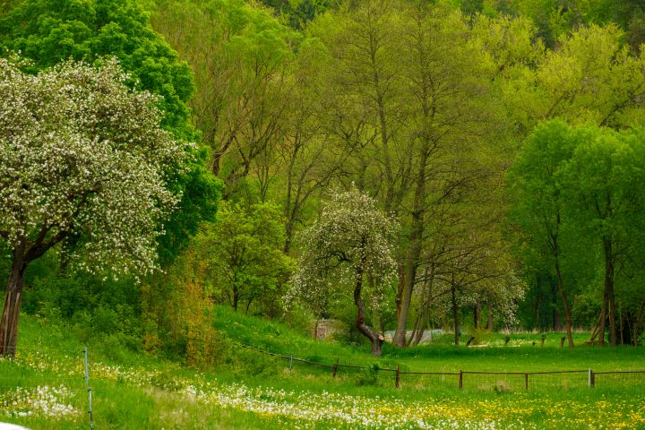 Spring landscape in Thuringia