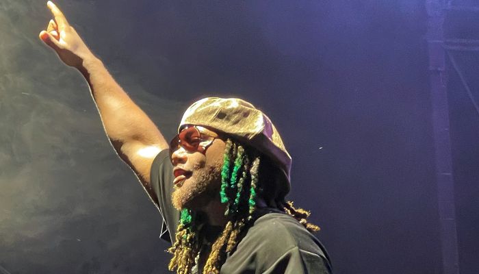 A person with dreadlocks and sunglasses performing on stage, raising one arm.